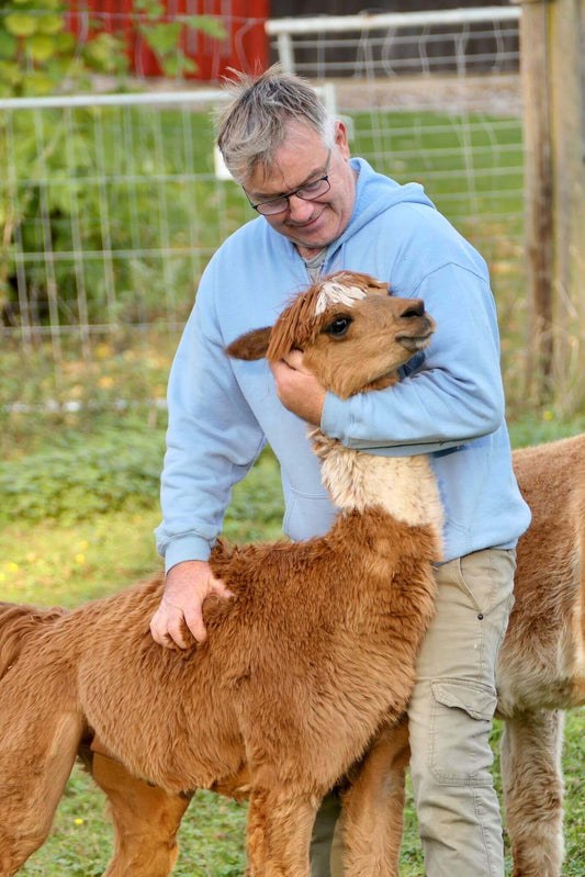 Vergleich der verschiedenen Alpakawollarten: Welche ist die richtige Wahl für Sie? - tre_alpacas