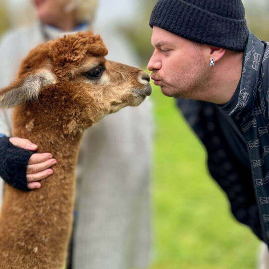 Stille Kämpfe, laute Gedanken #6: Meine Reise durch die Höhen und Tiefen der Liebe - tre_alpacas