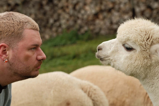 Stille Kämpfe, laute Gedanken #10: Wenn der Kopf einfach nicht still sein will - tre_alpacas