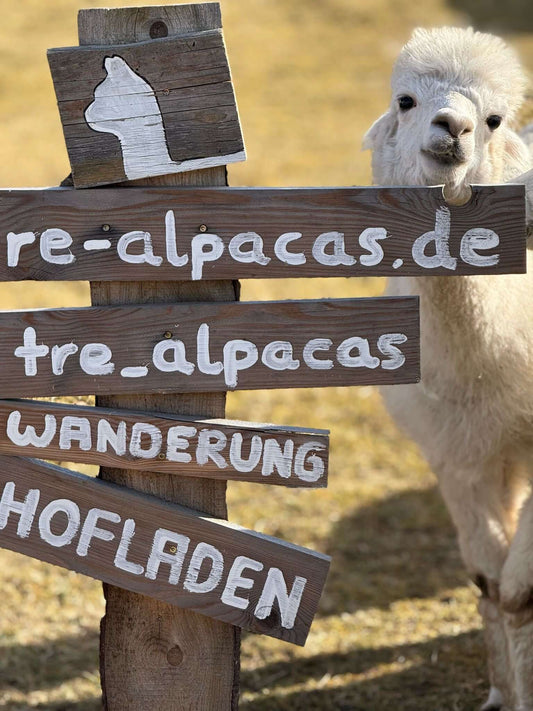 Alpakawanderung mit Besuch im Hofladen bei Würzburg – nachhaltige Produkte und flauschige Erlebnisse in Gützingen entdecken