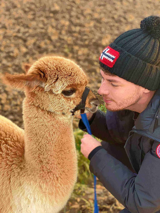 Stille Kämpfe, laute Gedanken #12: Ich bin viele! - tre_alpacas