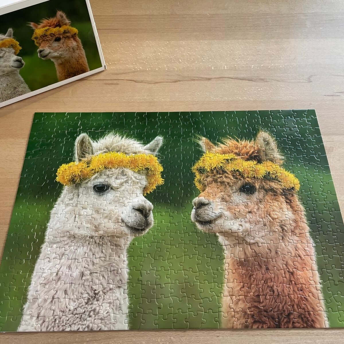 Puzzle mit Tiermotiv und Alpakas - ideales Geschenk für Puzzle- und Tierliebhaber