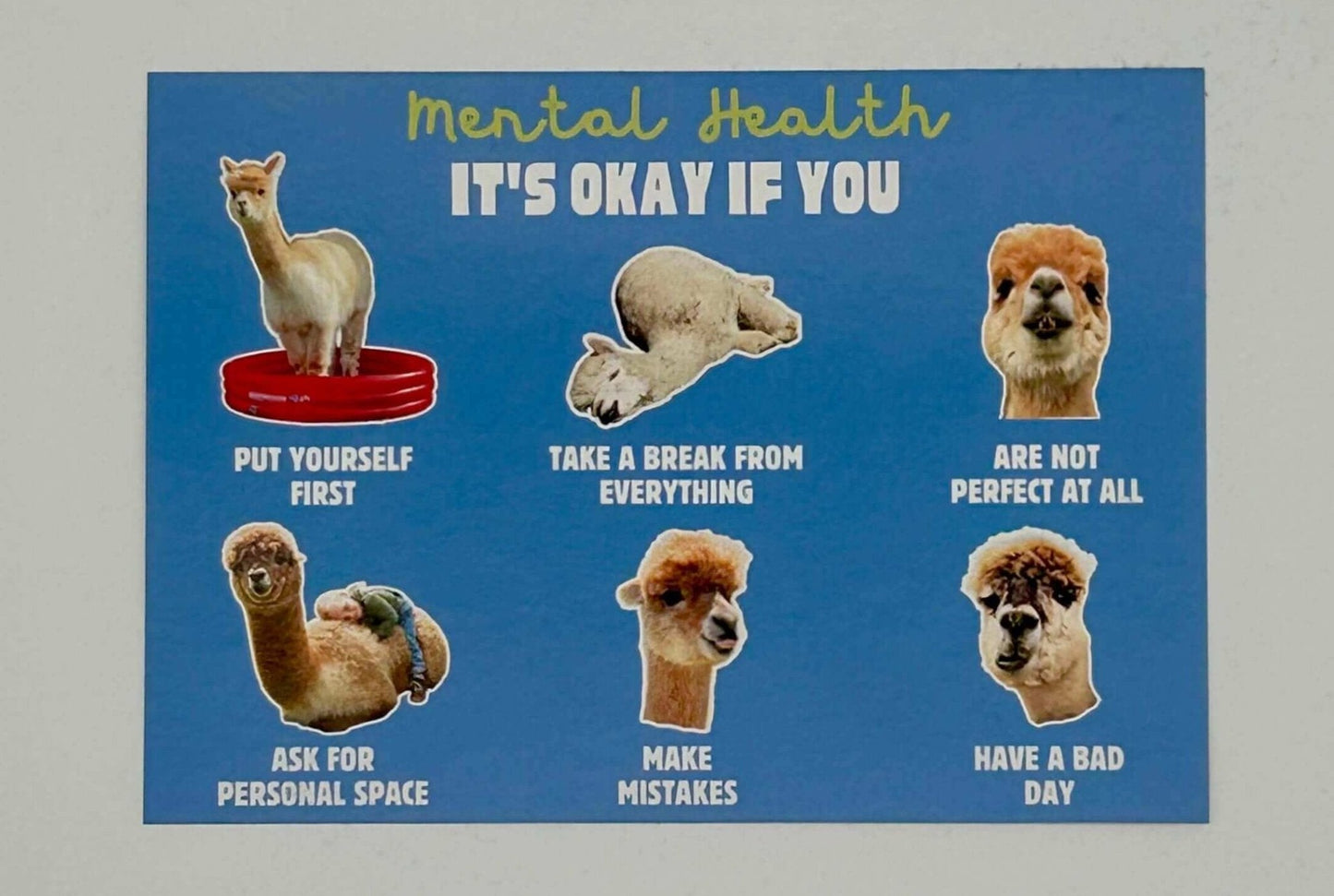 3er-Set niedliche Alpaka Sticker für psychische Gesundheit im Alpakashop kaufen
