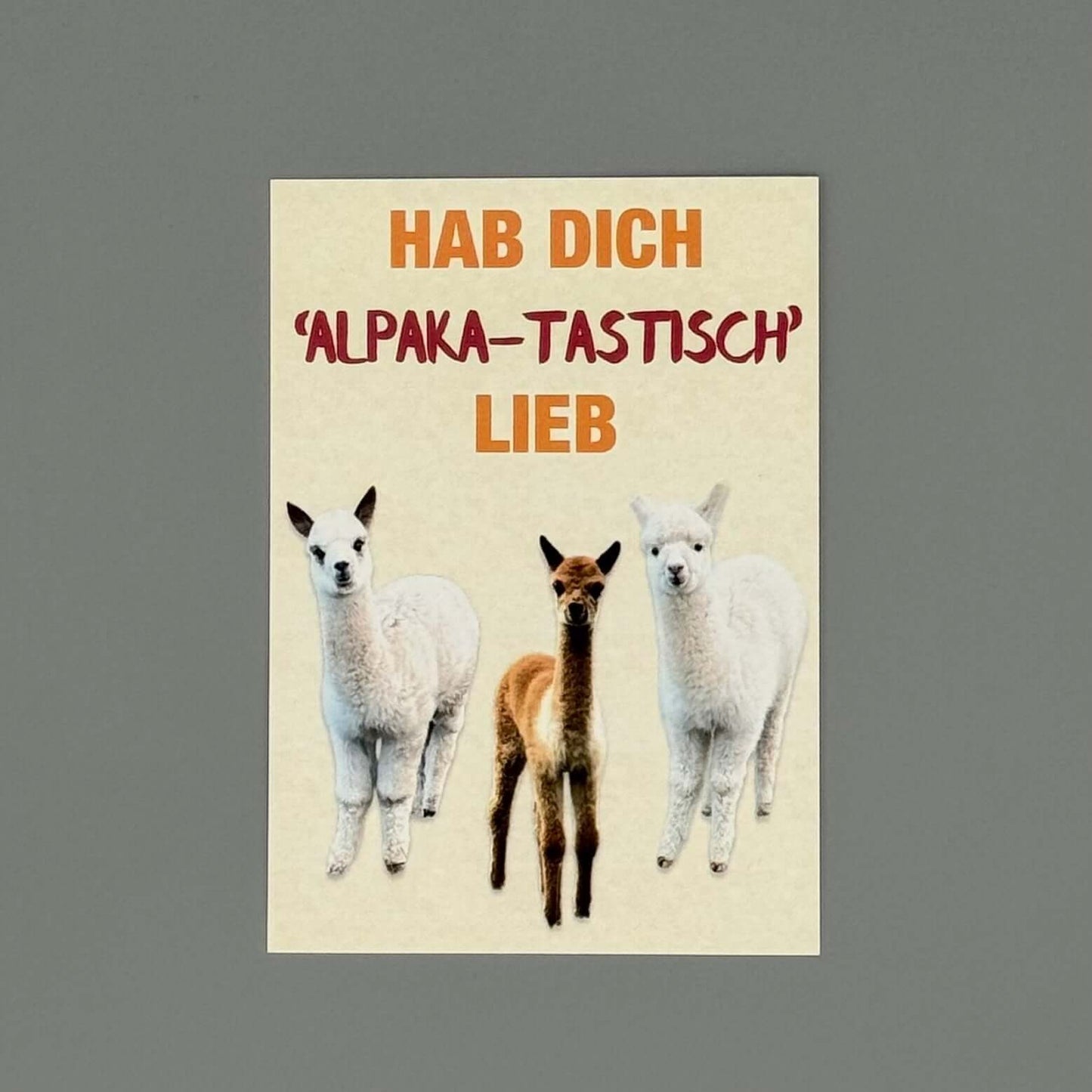 Süße Alpaka Bilder auf Postkarte gedruckt zum Verschenken