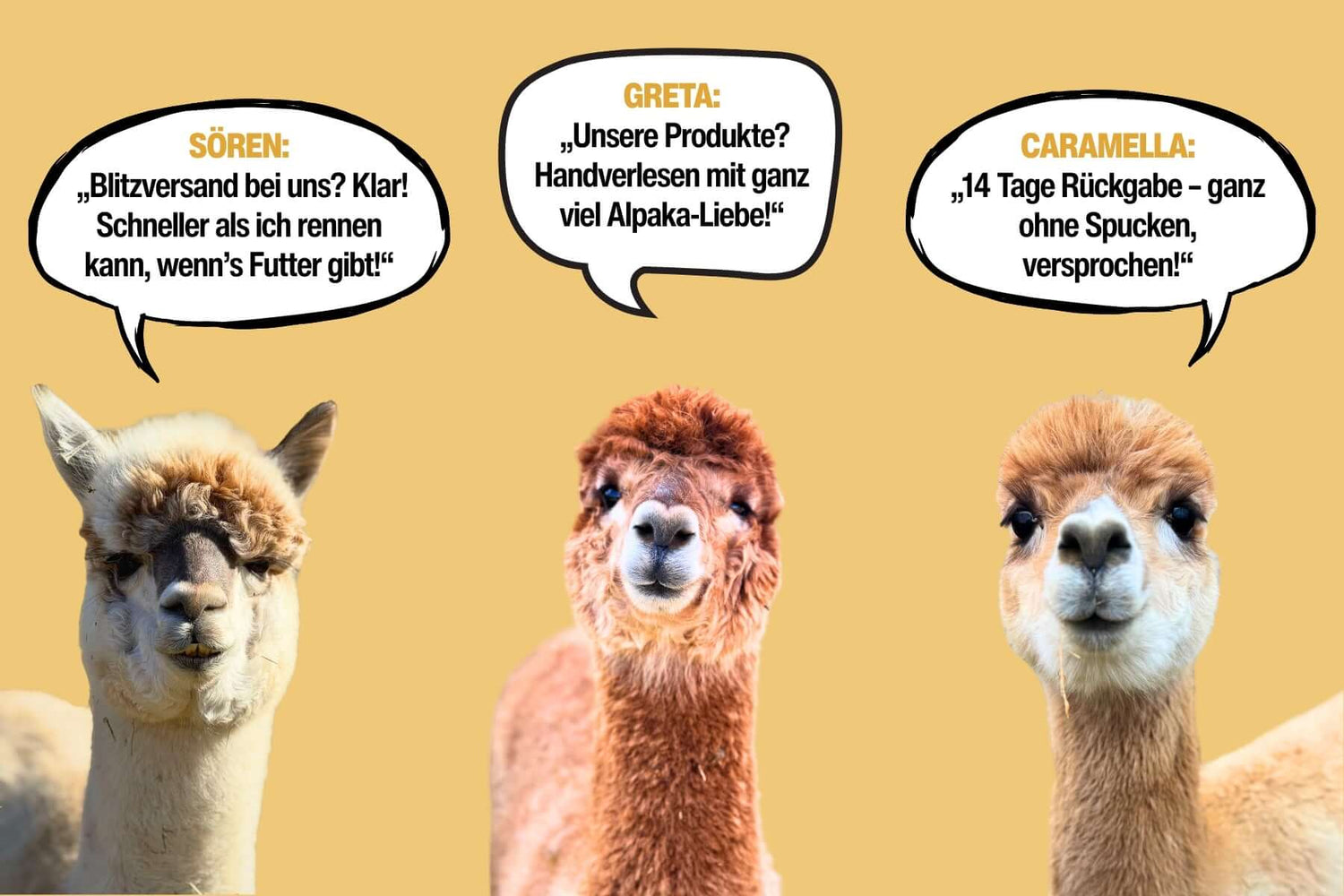 Alpaka Artikel im Online Shop – Kissen, Decken & Accessoires aus naturbelassener Alpakawolle