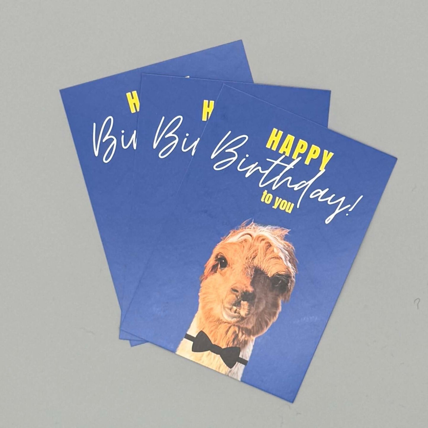 Fröhliche Geburtstagskarte mit niedlichem Alpaka-Motiv