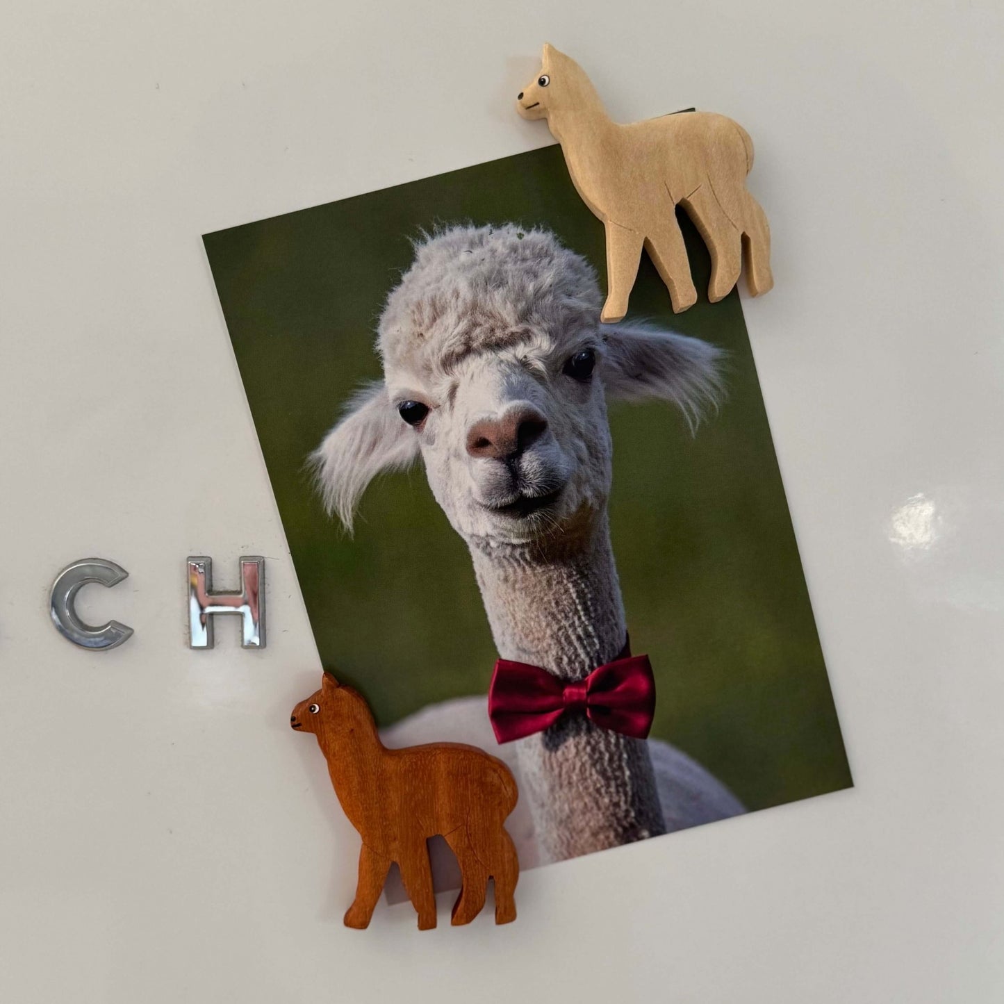 Alpaka-Magnet aus Naturholz – handgefertigtes Tierfreund-Geschenk mit stilvollem Design