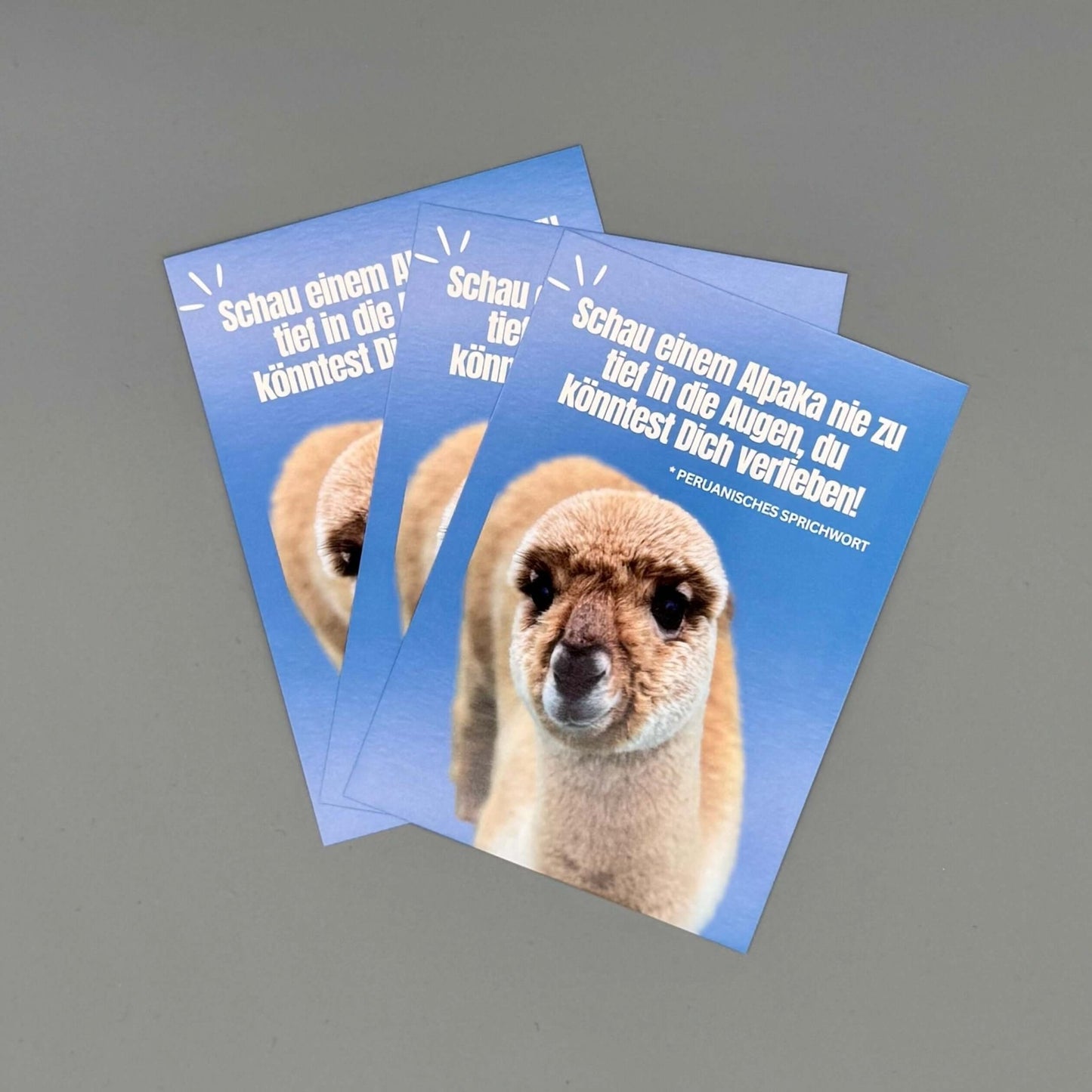 Süße Alpaka-Postkarte mit einem niedlichen Alpaka-Baby und Spruch – Perfekt für Liebesgrüße oder besondere Anlässe