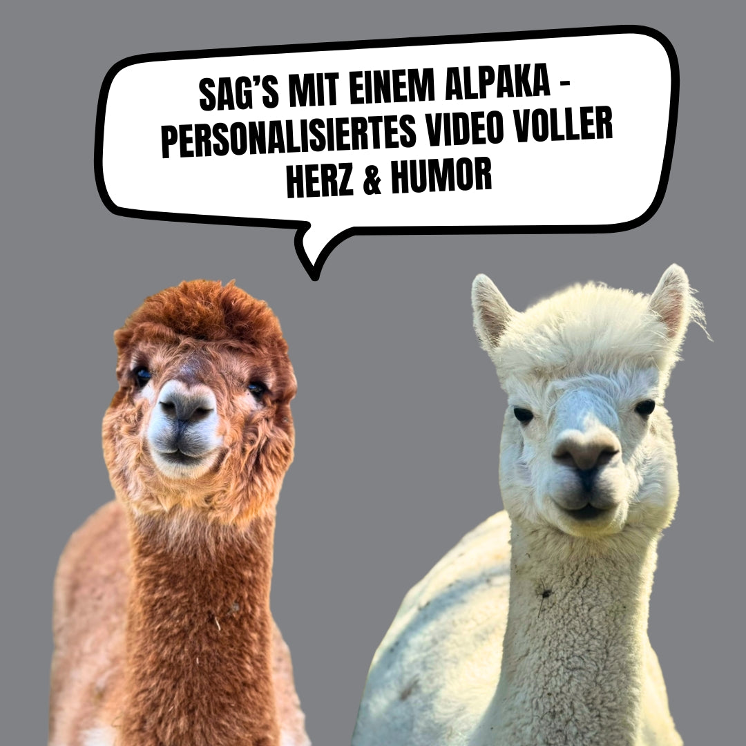 Dein persönliches Alpaka-Video – mit Liebe, Humor & KI-Stimme (innerhalb von 24–48 Stunden)
