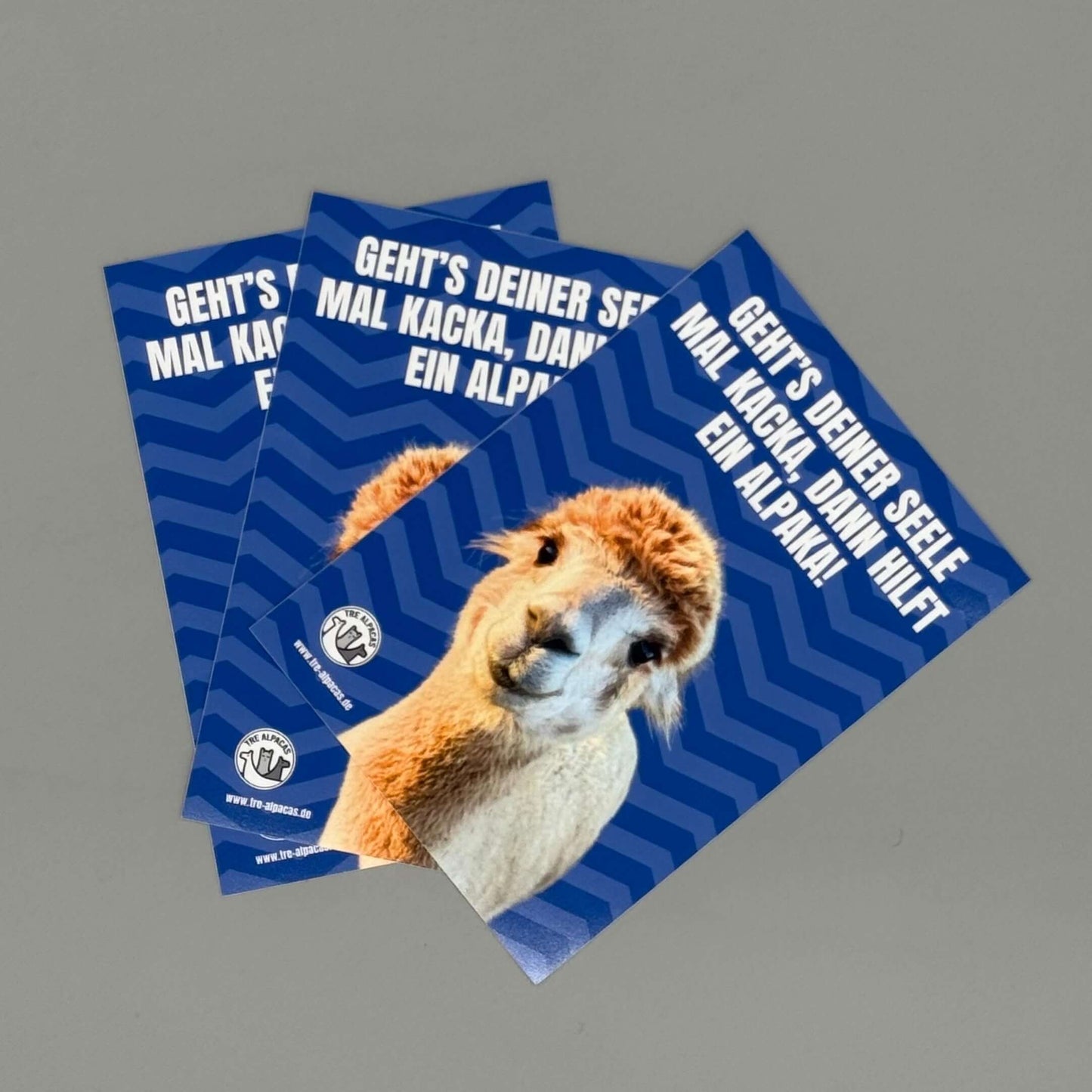 Alpaka Postkarte „Geht’s deiner Seele mal kacka, hilft ein Alpaka“ mit Alpaka Alfred.
