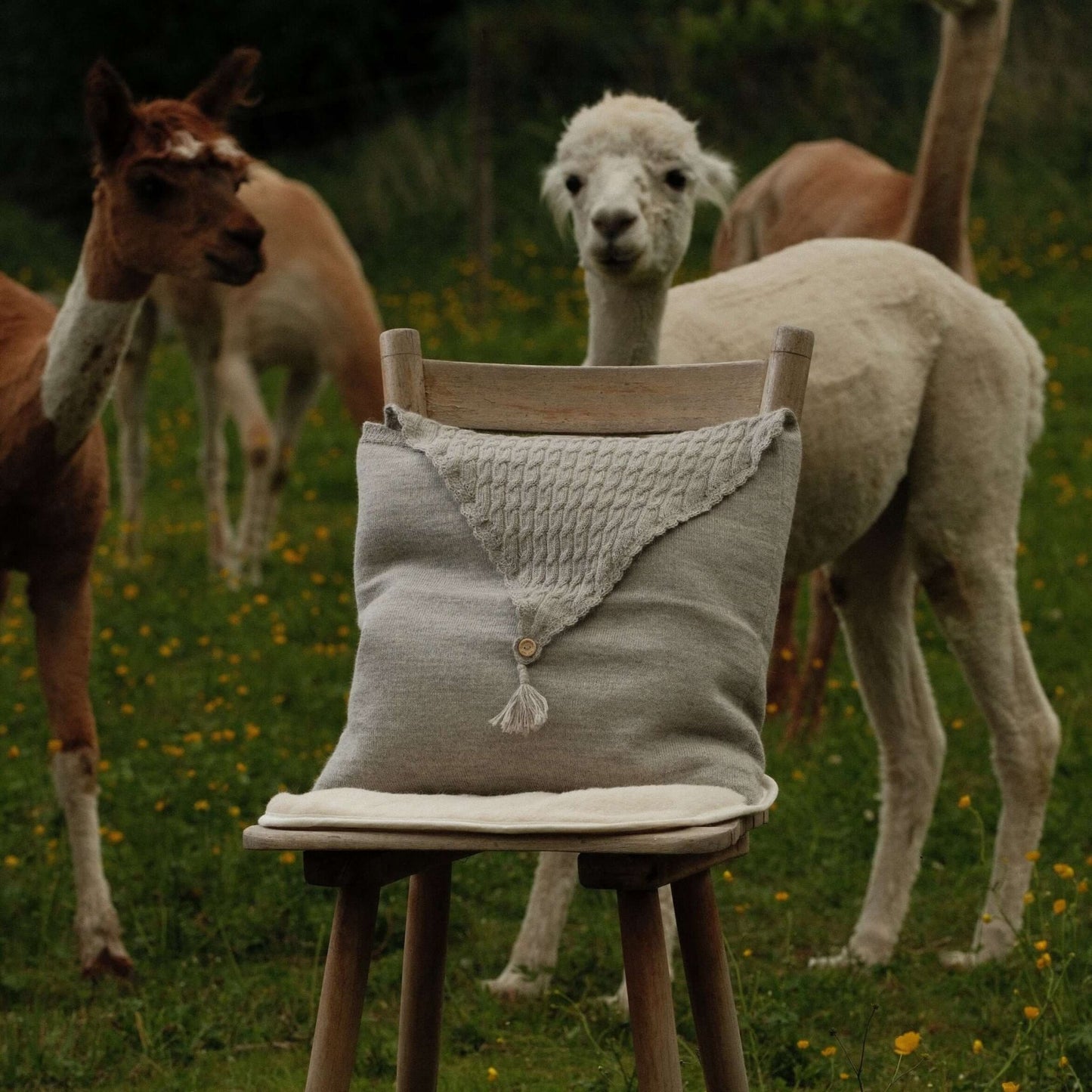 Grauer Alpaka-Strickkissenbezug 40 × 40 cm aus Baby-Alpakawolle – moderne Strickdeko mit Knopfverschluss