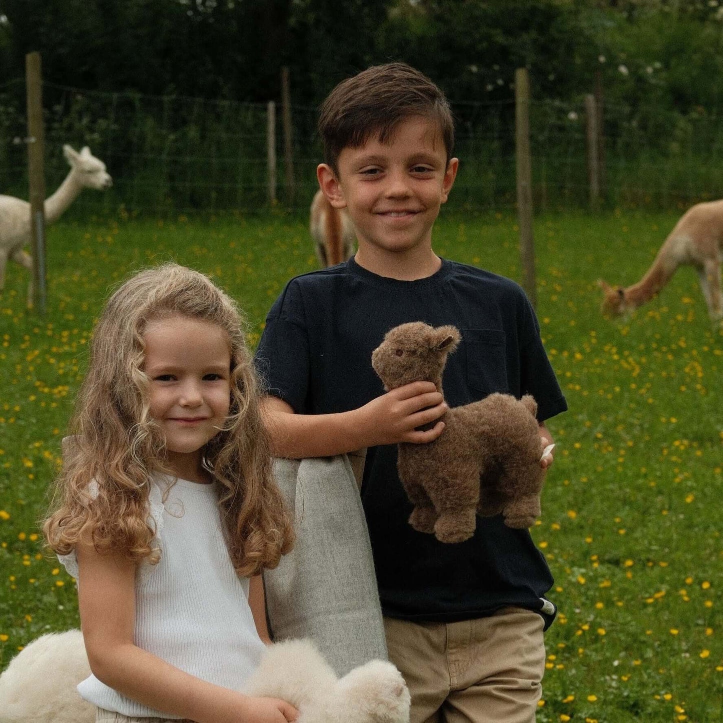 Braunes Bio Alpaka Stofftier für Kinder und Erwachsene, 100% Alpaka Wolle
