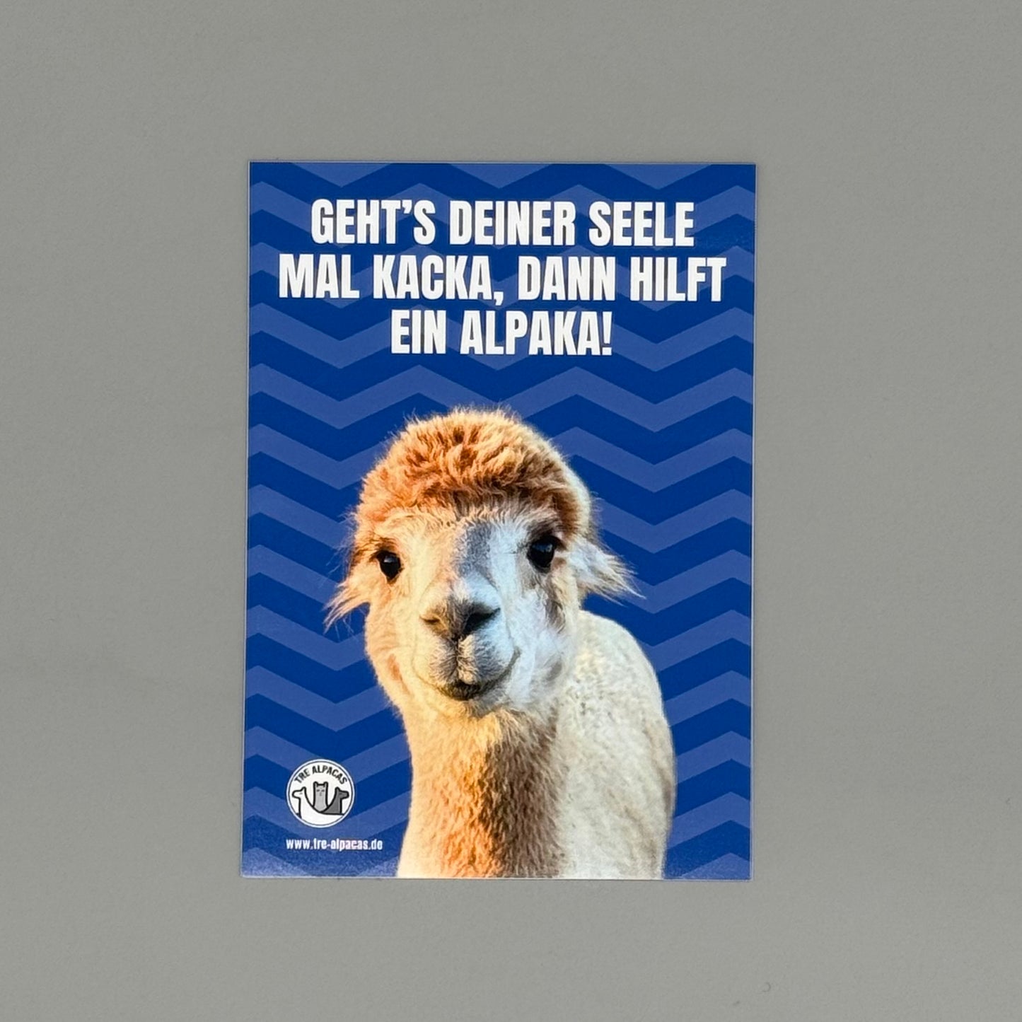 Alpaka Aufkleber mit Spruch "Geht's deiner Seele mal kacka, hilft ein Alpaka" auf blauen Hintergrund.