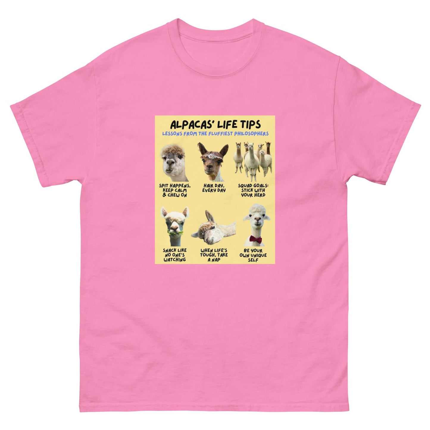 Alpaka T-Shirt aus 100% Baumwolle mit witzigem Motiv