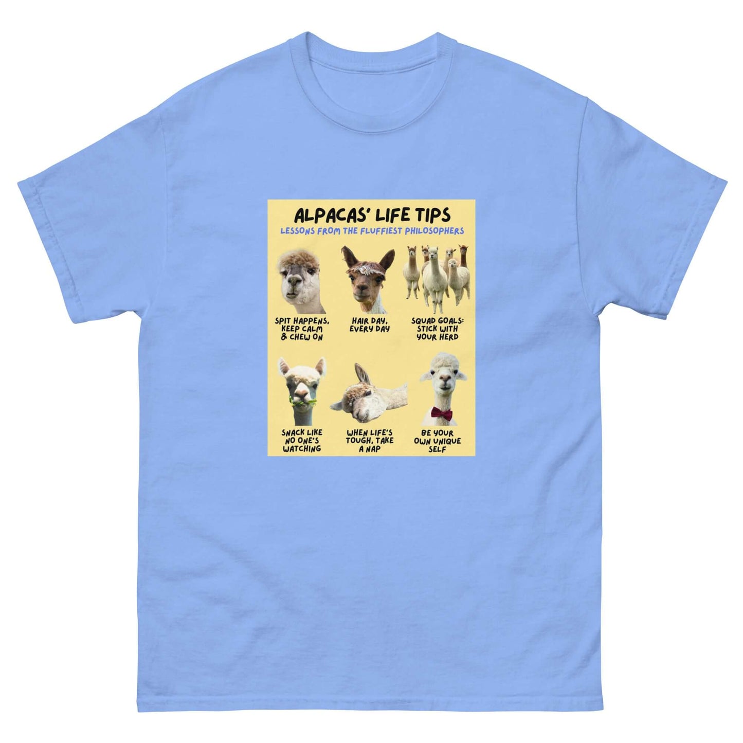 Buntes Alpaka T-Shirt für Kinder und Erwachsene mit Humor