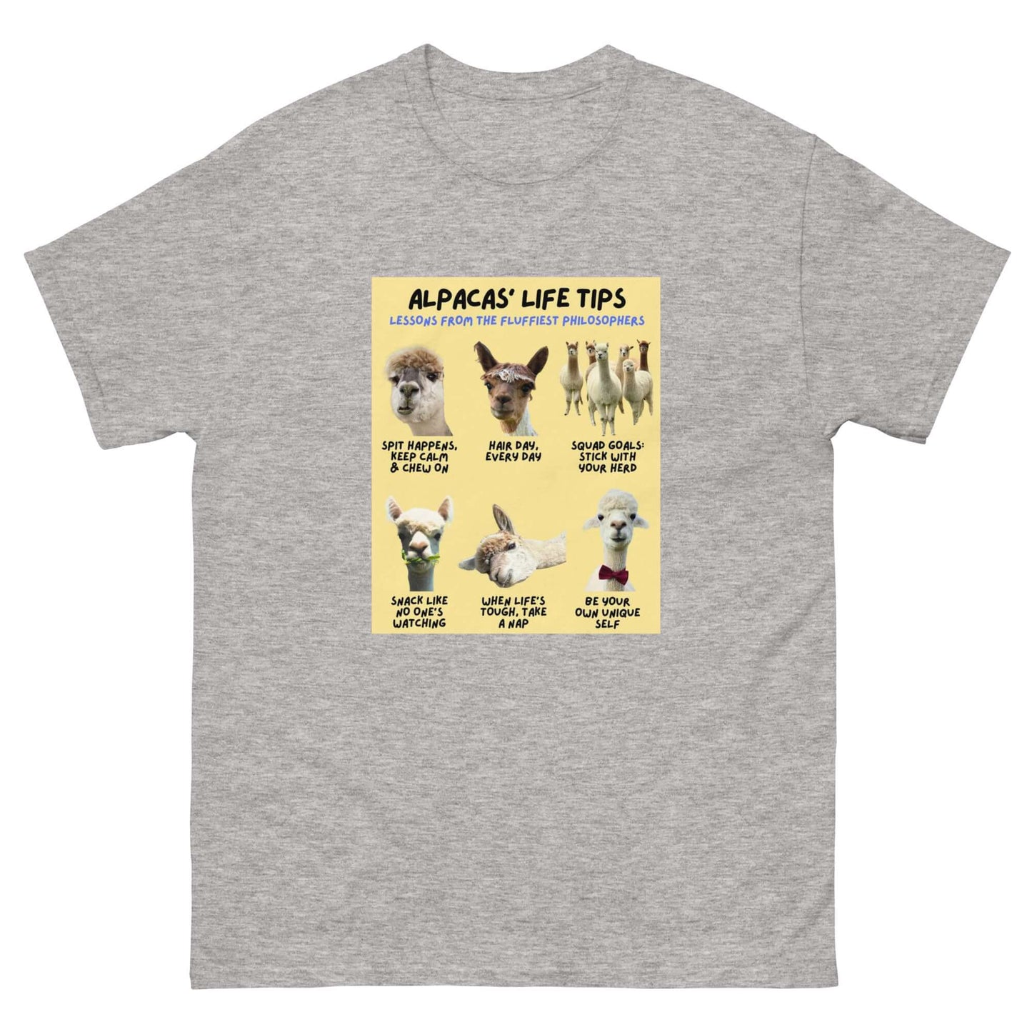 Alpaka Shirt mit lustigem Spruch – perfekt für den Sommer