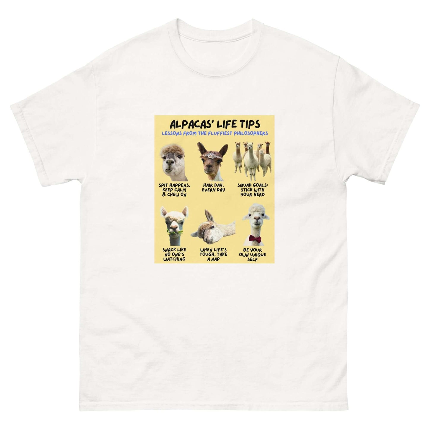 Bunte T-Shirts mit lustigen Tiermotiven im Alpaka Online Shop verfügbar