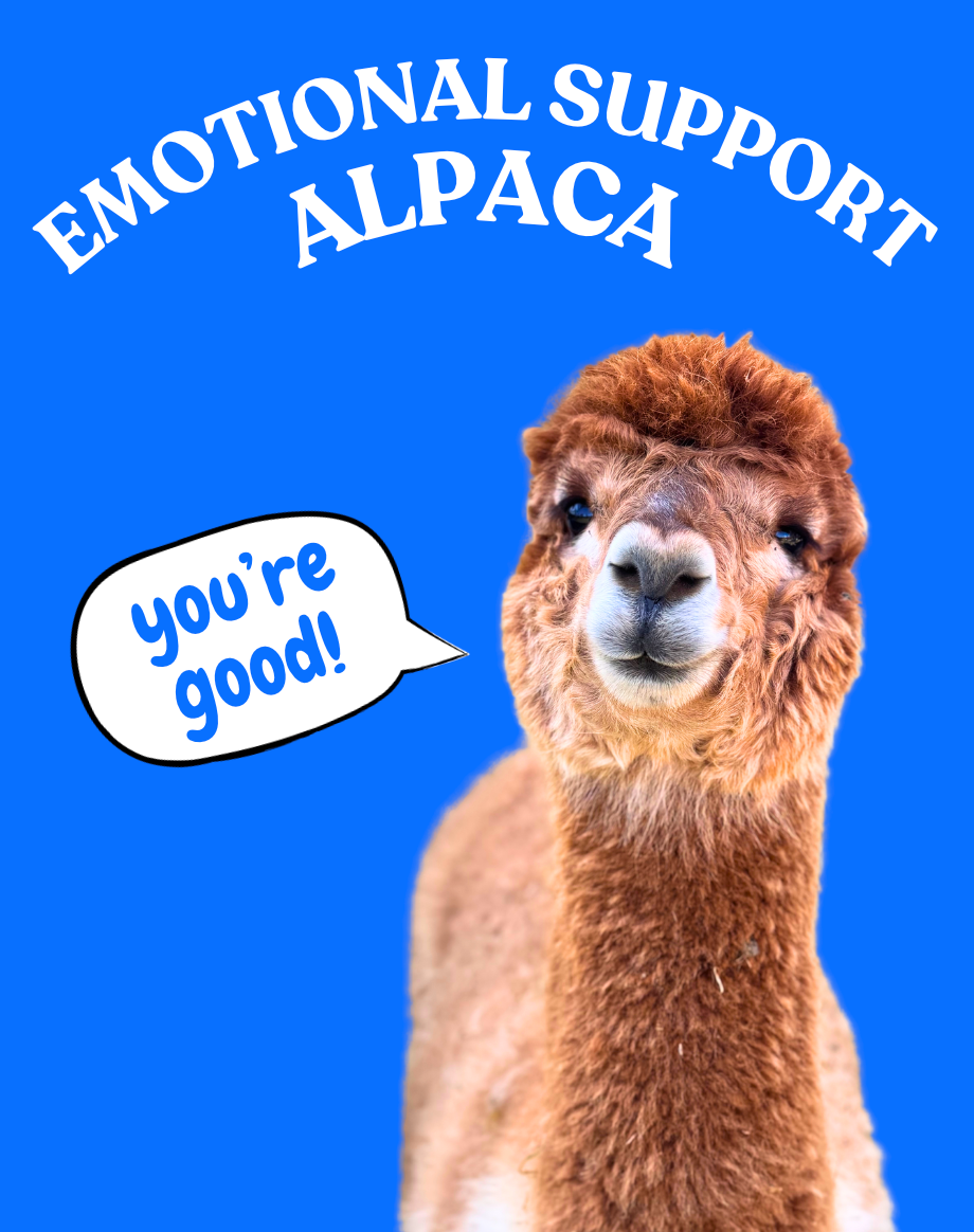 Emotional Support Alpaka mit aufmunterndem Blick – digitale Umarmung für zwischendurch