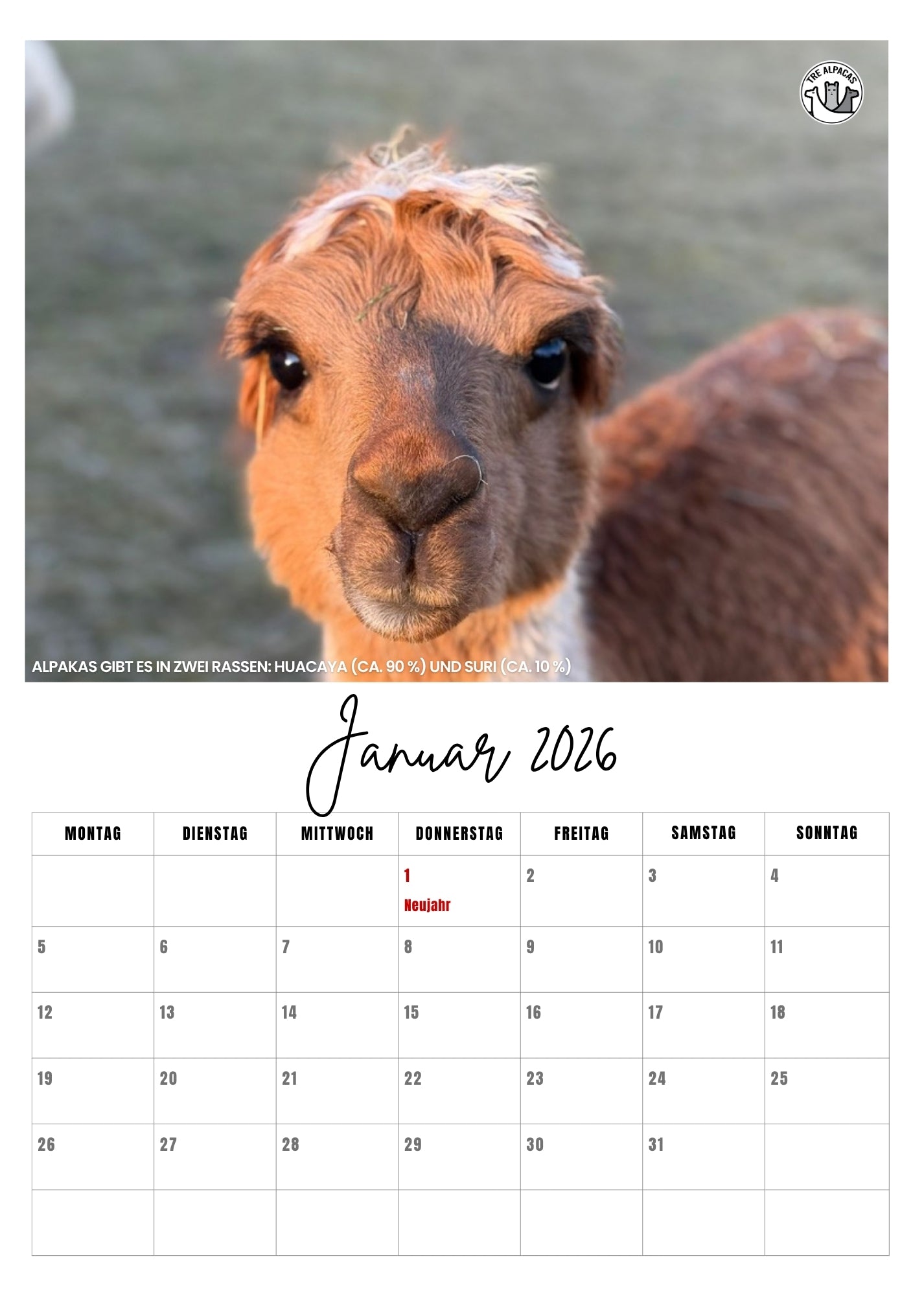 Kostenloser PDF Alpaka Kalender 2026 mit Alpaka Fakten