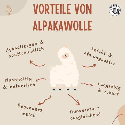 Vorteile von Alpakawolle Vorteile: hypoallergen, leicht, nachhaltig und besonders weich.
