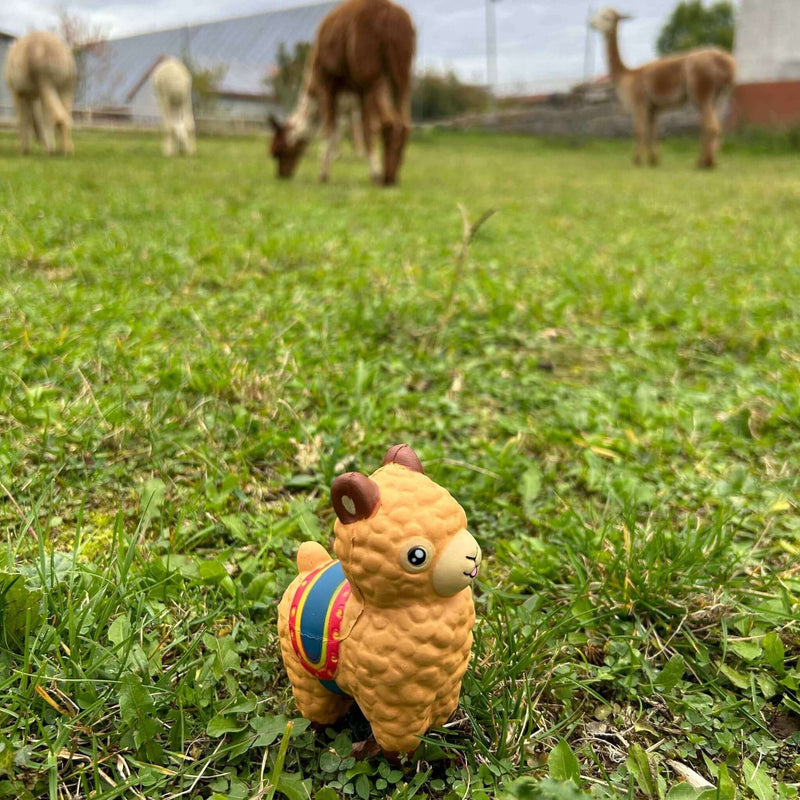 Alpaka-Stressbälle: Kleine Helfer mit großer Wirkung! - tre_alpacas