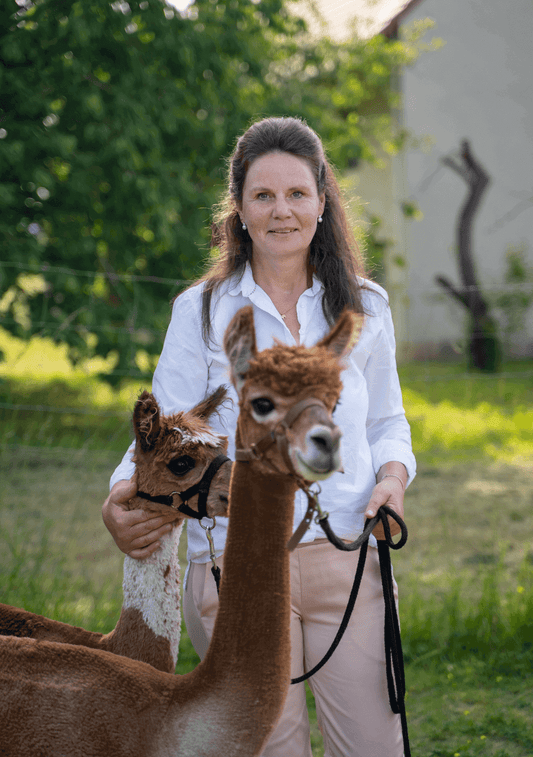 Unsere Alpaka Ranch in Unterfranken ist das zu Hause von 9 Alpakas - allesamt süße Tiere