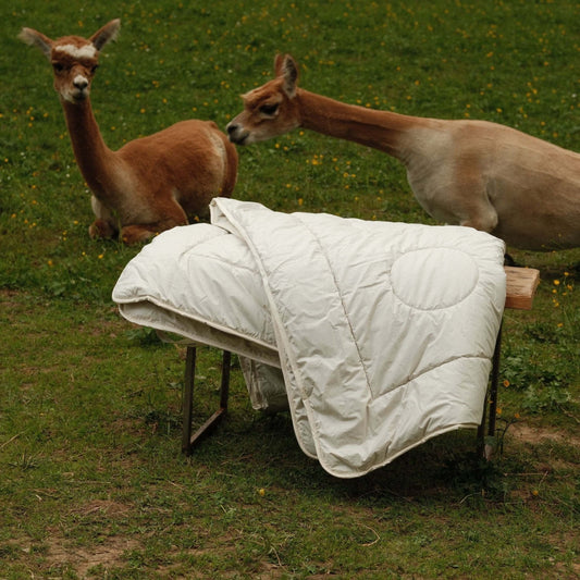 Alpaka Bettdecke Erfahrungen: Das sagen echte Kund:innen zur 4-Jahreszeiten Alpaka Steppdecke