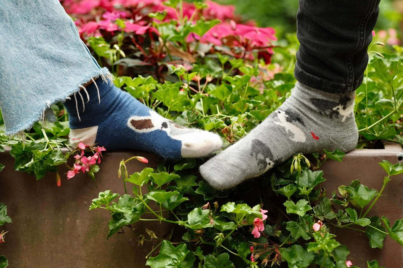 Warum Alpakawollsocken die besten Socken für kalte Füße sind - tre_alpacas