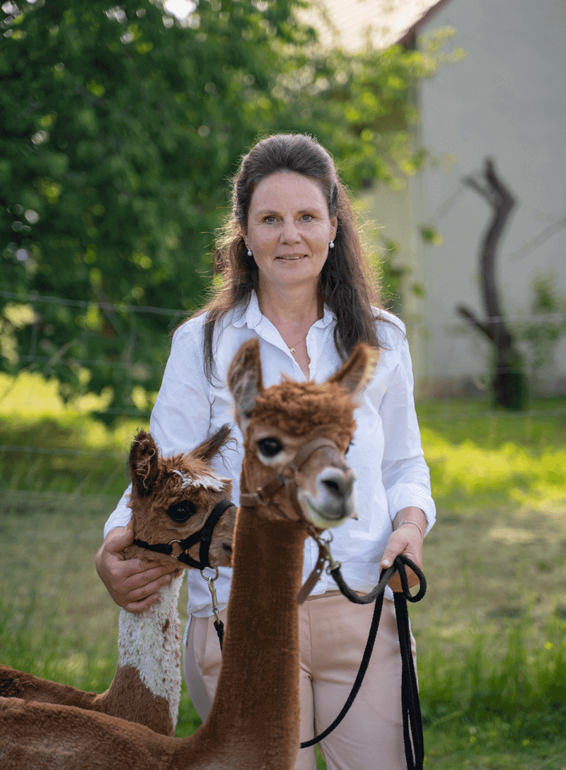 Das Trendtier Alpaka - Alpakas Tiere sind einfach wundervoll! - tre_alpacas