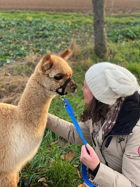 Frau mit einem Alpaka im Freien, das Herz und Flausch im Alpaka Online Shop verkörpert.