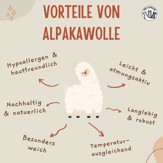 Alpakawolle – Die edelste Naturfaser der Welt und ihre Vorteile