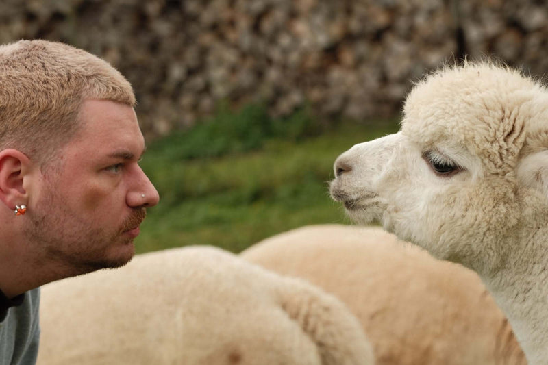 Stille Kämpfe, laute Gedanken #10: Wenn der Kopf einfach nicht still sein will - tre_alpacas
