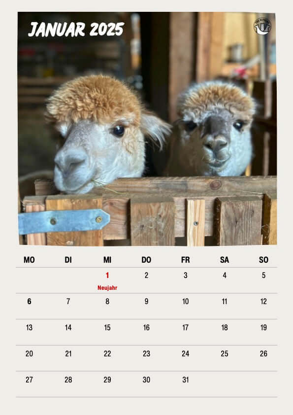 Kalender 2025 mit charmanten Lama- und Alpaka-Bildern zum Ausdrucken.