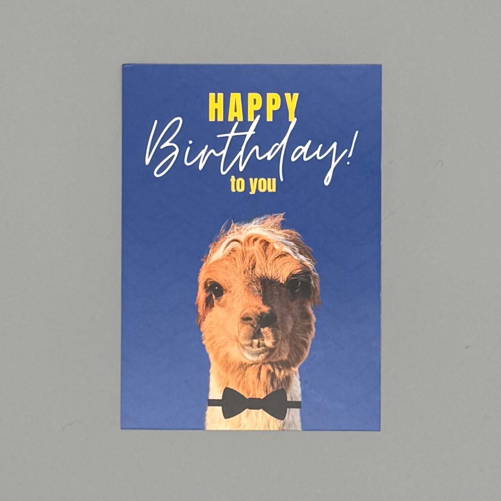 Lustige Alpaka Happy Birthday Postkarte für Alpaka-Fans