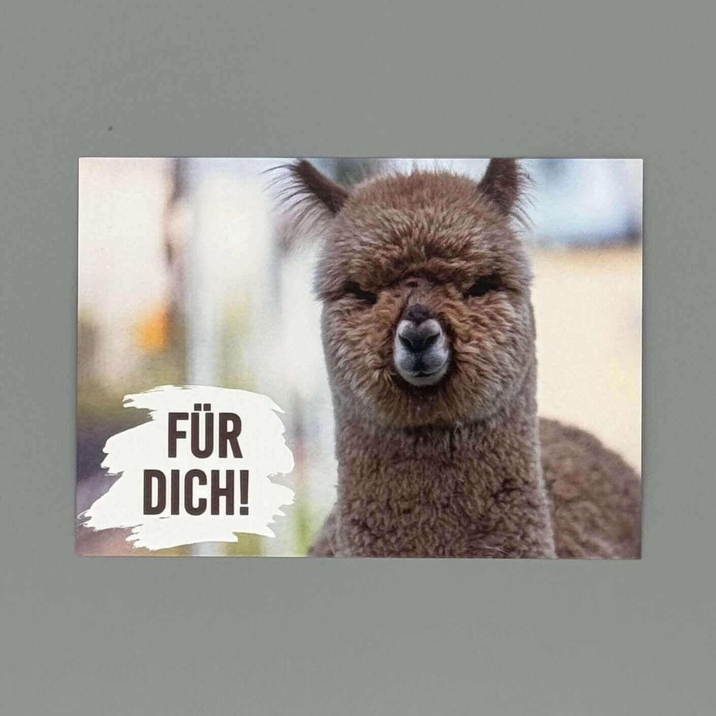 Alpaka Postkarte mit süßen Alpaka Bildern im Alpakashop verfügbar