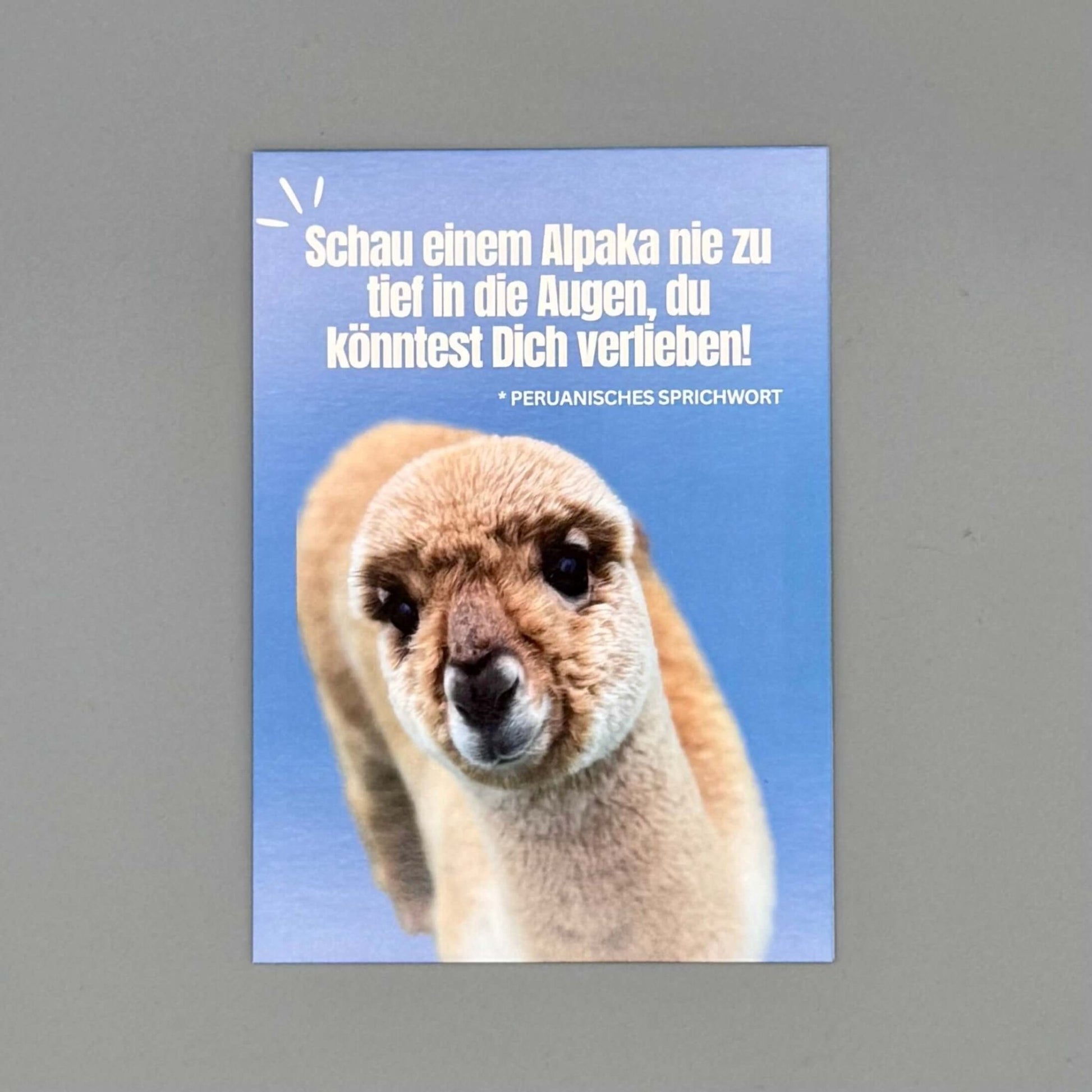 Alpaka-Karte mit bezauberndem Alpaka-Bild und humorvollem Design – Ideal für Alpaka-Fans und herzerwärmende Nachrichten