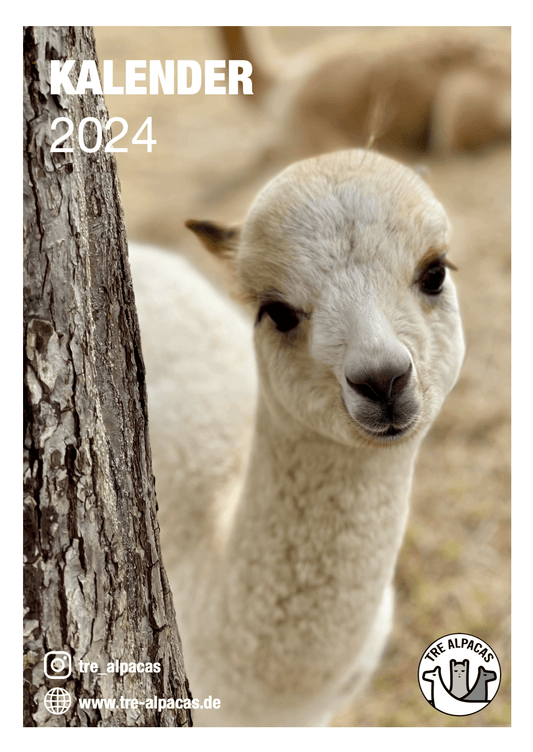 Kostenloser Alpaka Kalender 2024 – PDF mit süßen Alpaka-Fotos.