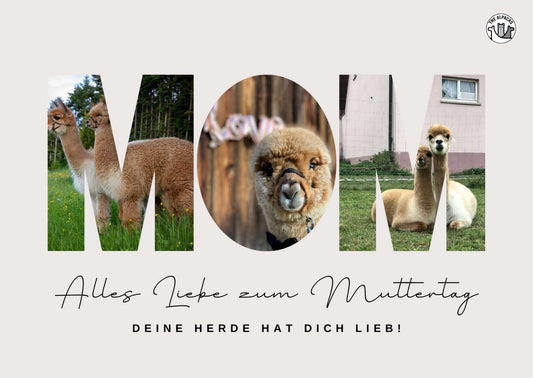 Kostenlose Postkarte mit süßem Alpaka-Motiv zum Muttertag