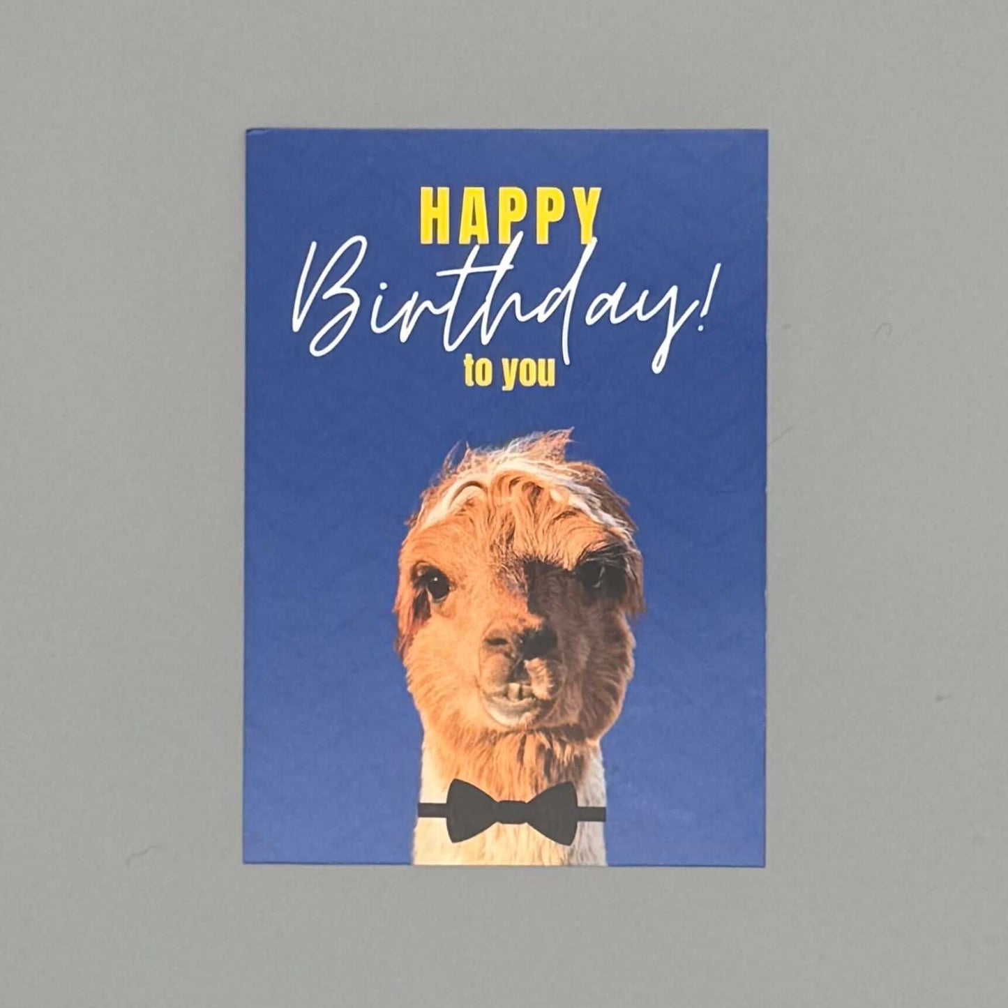 Lustige Alpaka Happy Birthday Postkarte für Alpaka-Fans