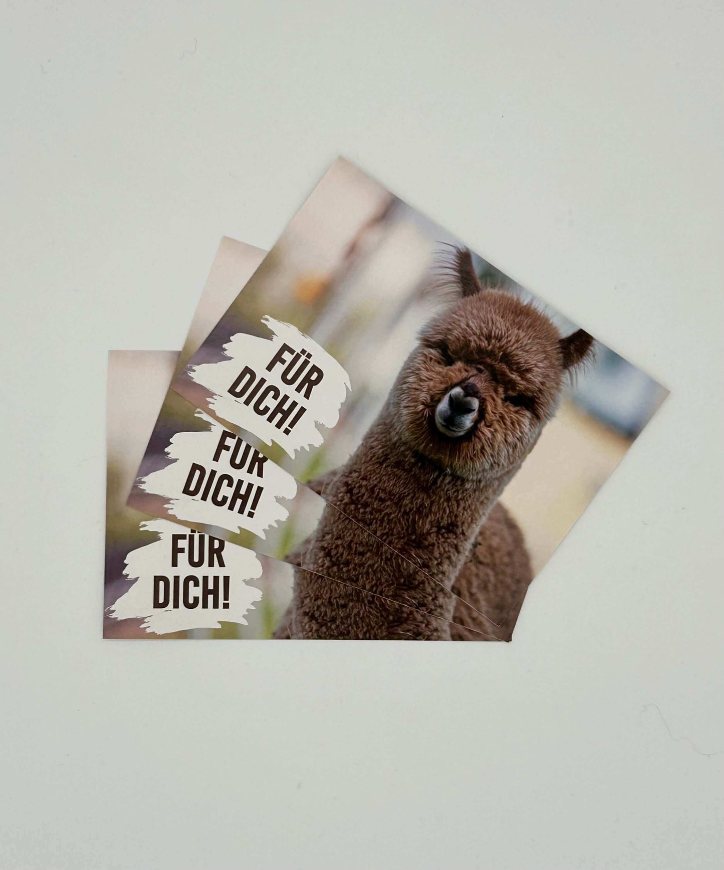 Alpaca postcard for various occasions (birthday, Valentine's Day, etc.) | Charming alpaca motifs with our 9 alpacas