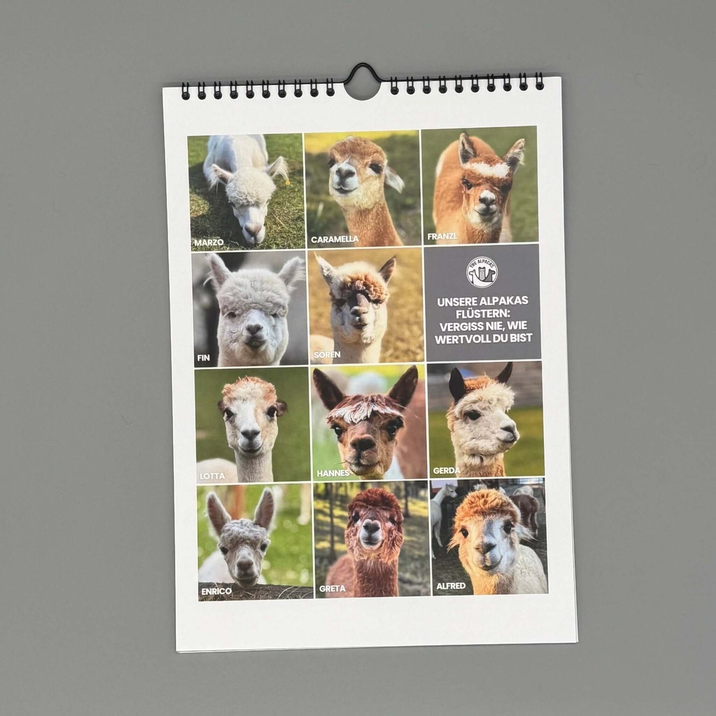 Seelenzauber Wandkalender Tierzauber Bauernhof DIN A4 Kalender Für 2026 Tiere Auf Dem Bauernhof