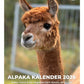 Kostenloser PDF Alpaka Kalender 2026 mit Alpaka Fakten