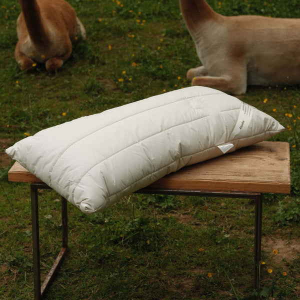 Kopfkissen 40 × 80 cm mit Alpakafüllung – ergonomisch, temperaturausgleichend & ideal für Seitenschläfer