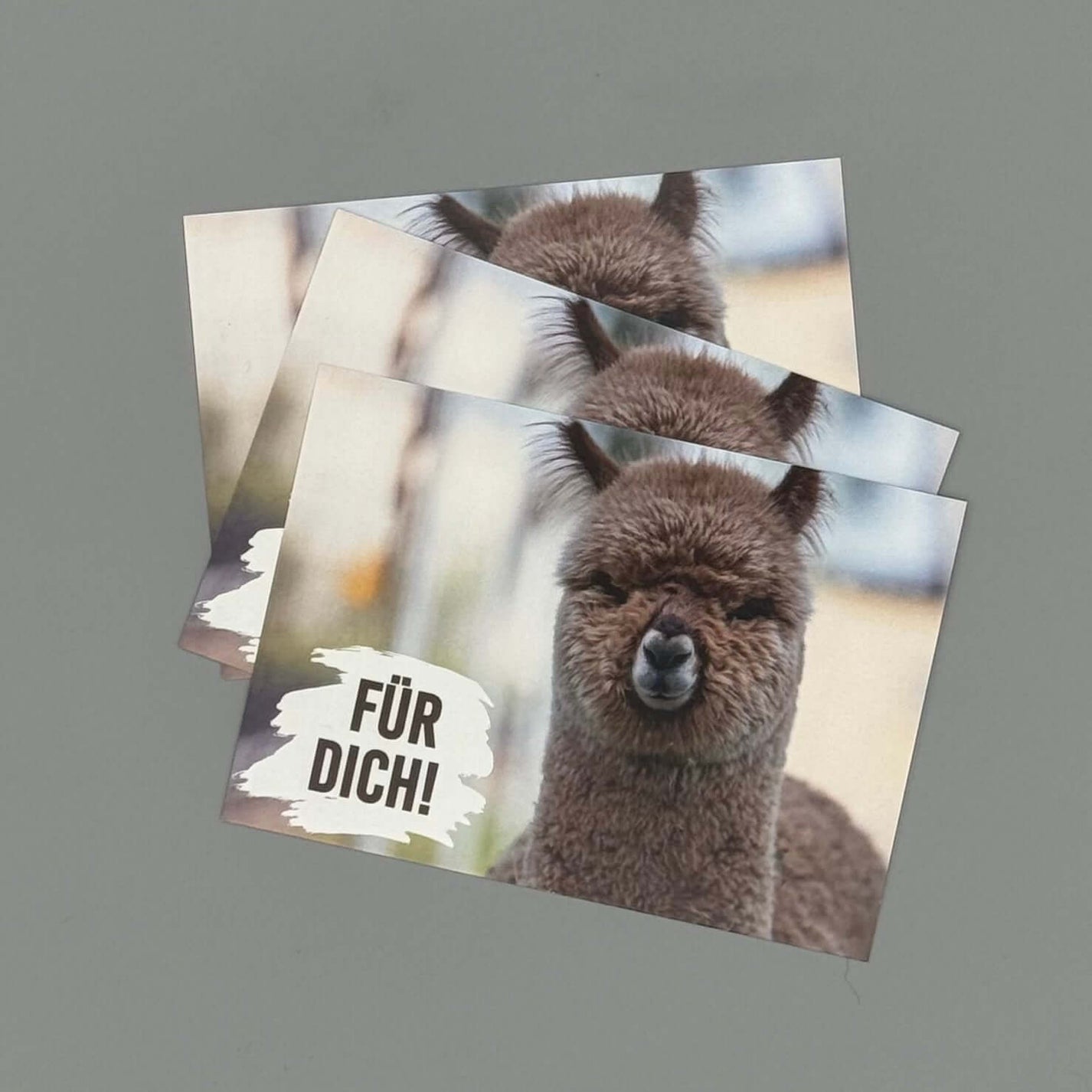 Alpaka Postkarte “Für Dich” – Süßes Alpaka-Baby Motiv