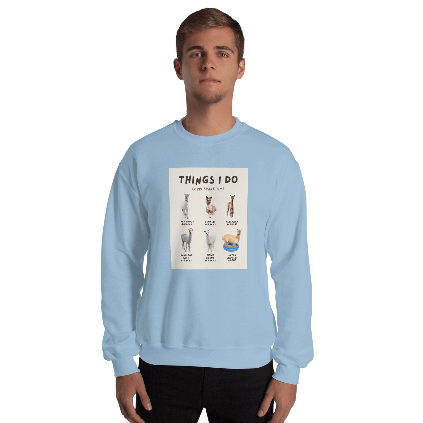 Alpaka Pullover "Things I Do in My Spare Time" – Lustiges Design für Alpaka-Fans