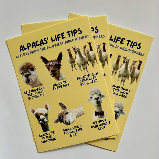 Alpakas als Geschenkidee, zum Beispiel mit selbstgestalteten Alpaka Postkarten