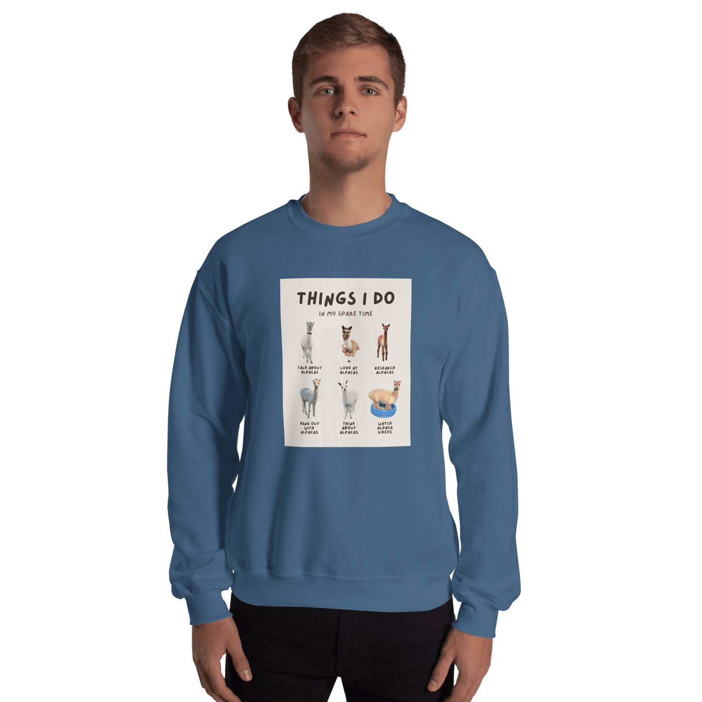 Alpaka Pullover "Things I Do in My Spare Time" – Lustiges Design für Alpaka-Fans