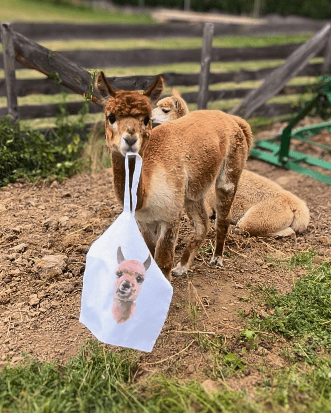 Alpaka Stoffbeutel mit Comic-Design Greta, nachhaltiger Beutel aus Baumwolle, ideal als Geschenk