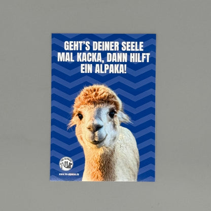 Alpaka Postkarte „Geht’s deiner Seele mal kacka, hilft ein Alpaka“ mit einem freundlichen Alpaka auf blauem Hintergrund.