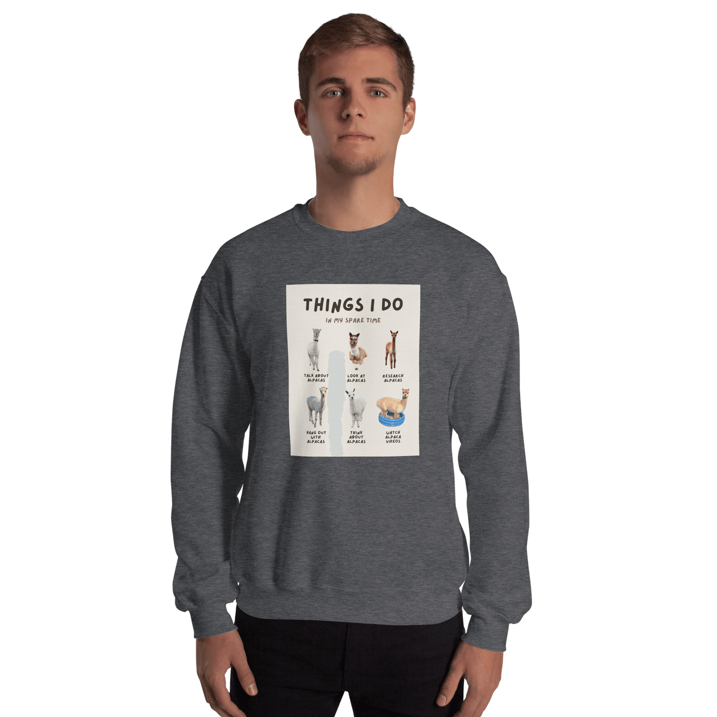 Alpaka Pullover "Things I Do in My Spare Time" – Lustiges Design für Alpaka-Fans